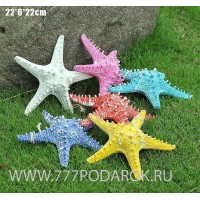 Декоративная Морская звезда  22 см (комплект 6шт) 