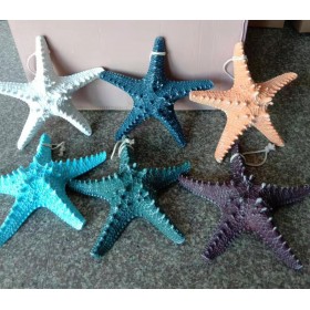 Морская звезда  декоративная 31x31x8 см, (комплект 6 шт)