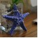 Декоративная Морская звезда  15 см (комплект 3шт) белая, синяя, красная