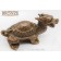 Драконо-черепаха 19см  бронза
