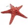Декоративная Морская звезда  22x22x5 см (комплект 3шт) белая, голубая, красная