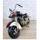 Коллекционная модель мотоцикла BLACK INDIAN, металл 38х13х20см, Art 6439
